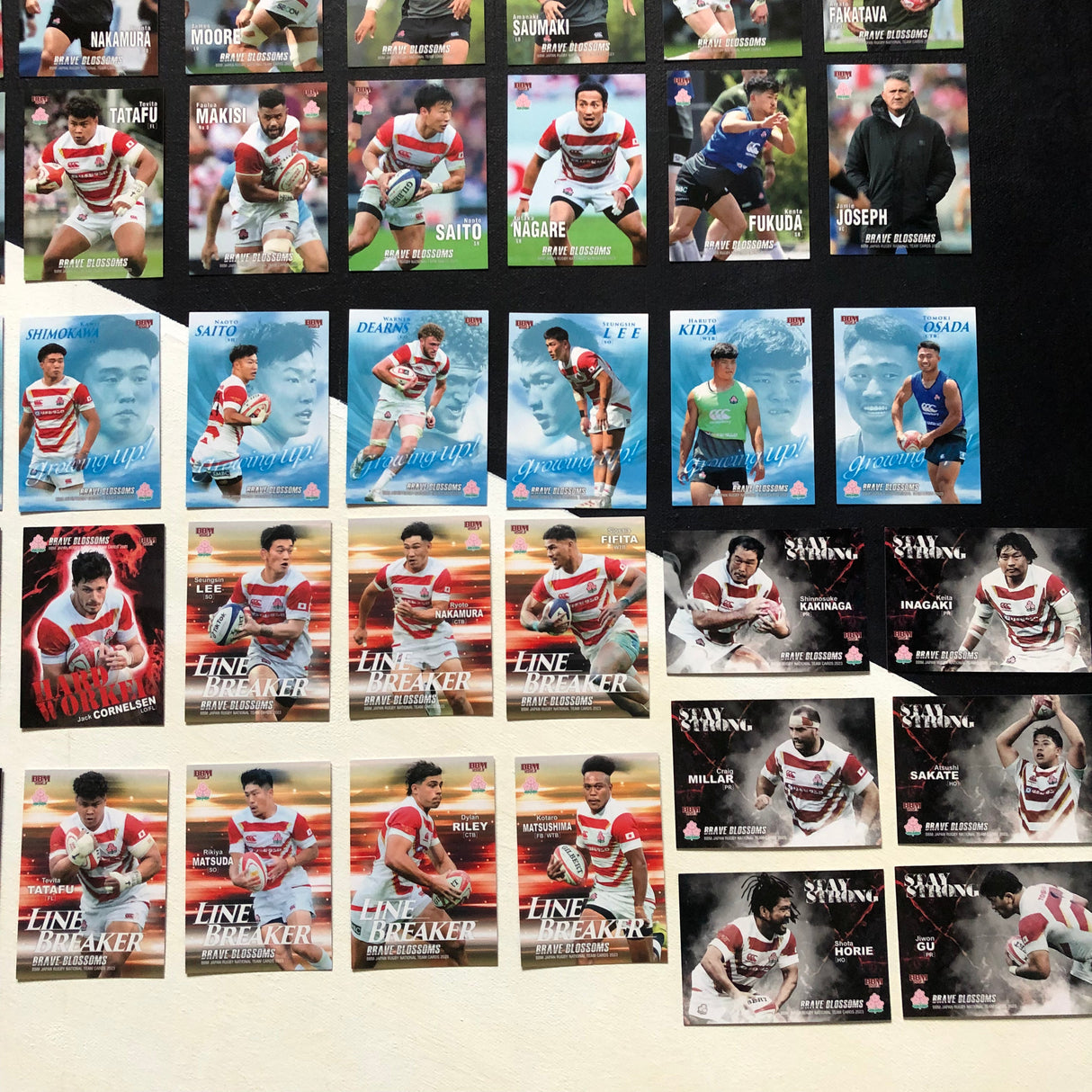 Japan National Rugby Team BBM 2023 Season Complete Regular Trading Card Set (85 Cards) Underdog Rugby - The Tier 2 Rugby Shop