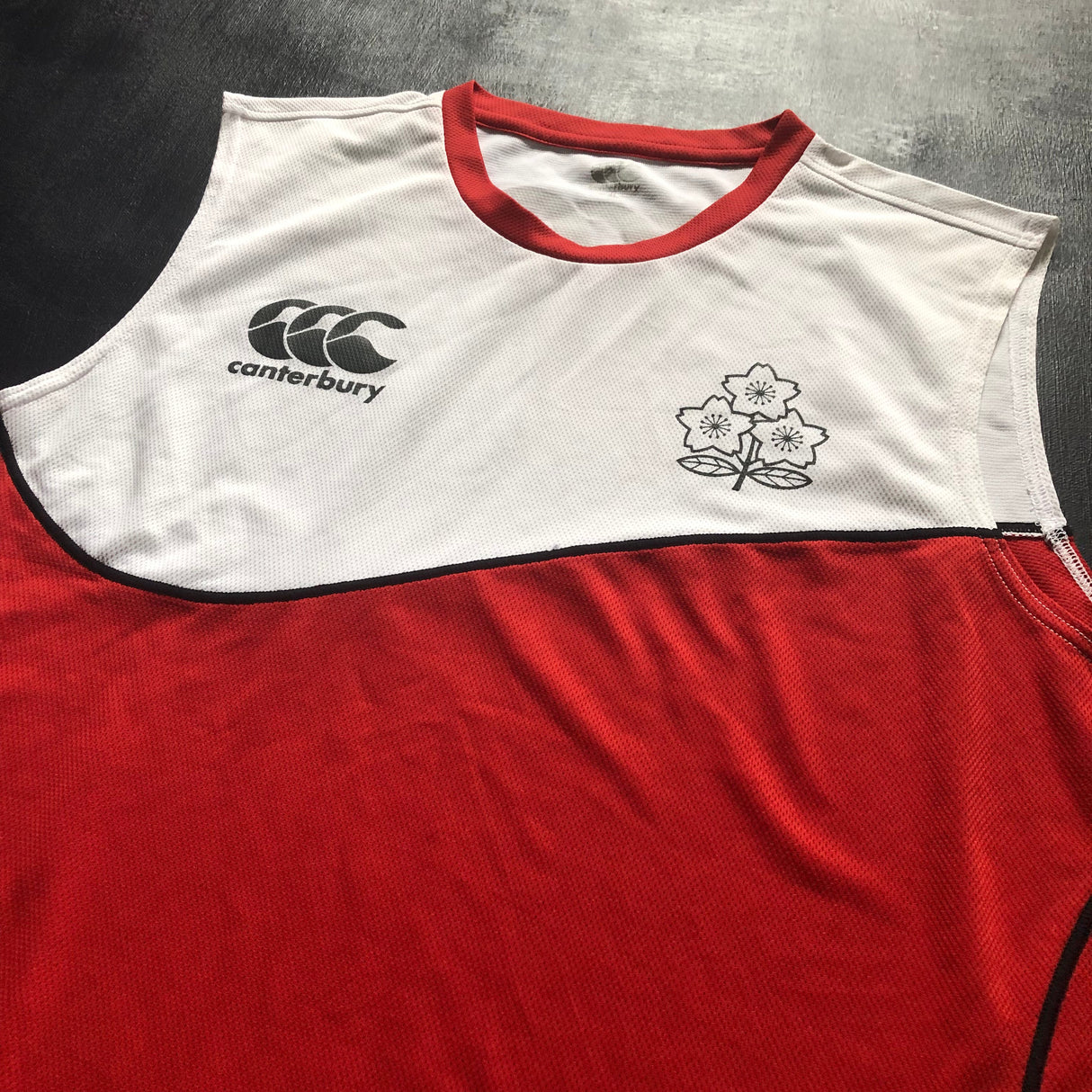 Japan National Rugby Team Training Vest 4L Underdog Rugby - The Tier 2 Rugby Shop